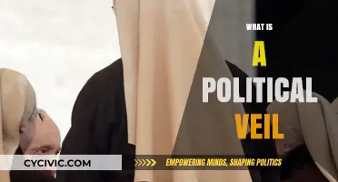 Unveiling the Political Veil: Understanding Its Role and Impact