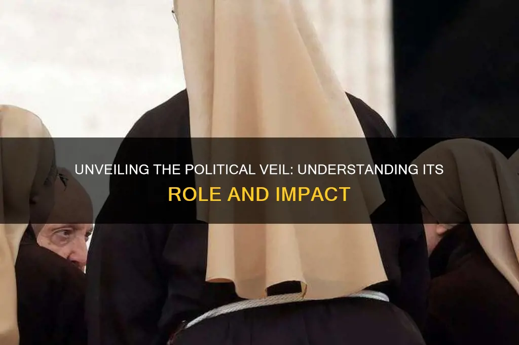 what is a political veil
