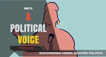 Understanding Political Voice: Power, Representation, and Civic Engagement Explained