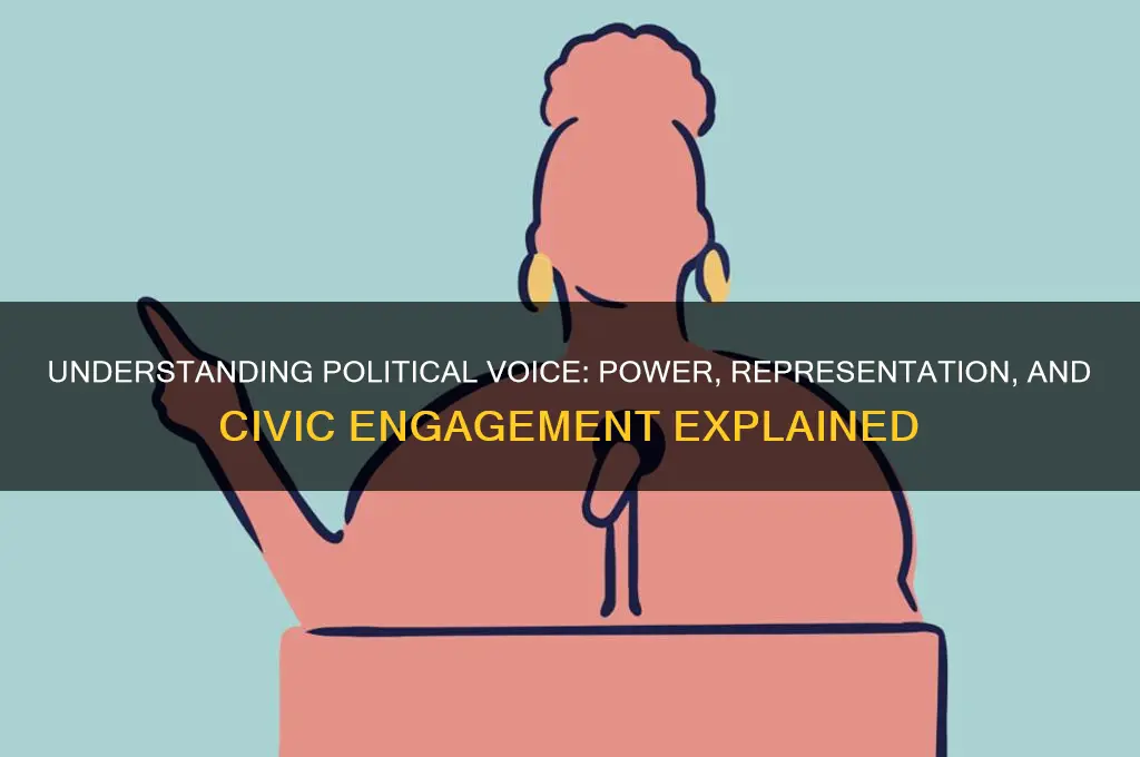 what is a political voice