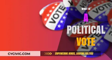 Understanding the Power of a Political Vote: Democracy's Foundation