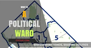 Understanding Political Wards: Local Governance and Community Representation Explained