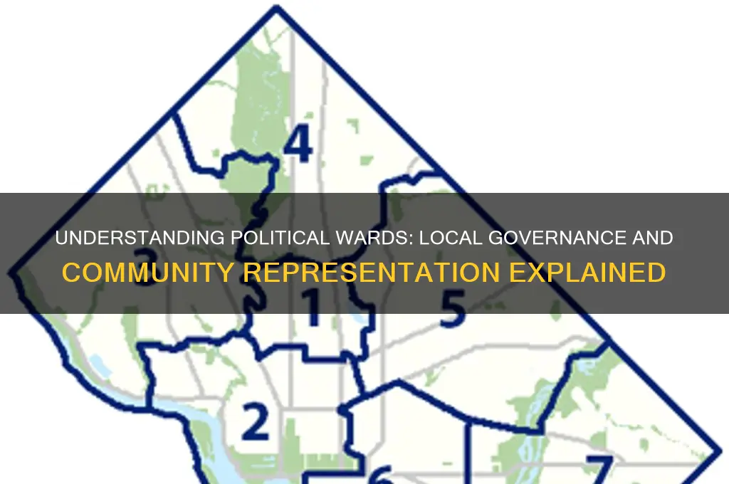 what is a political ward