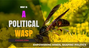 Understanding the Political WASP: Origins, Influence, and Modern Relevance