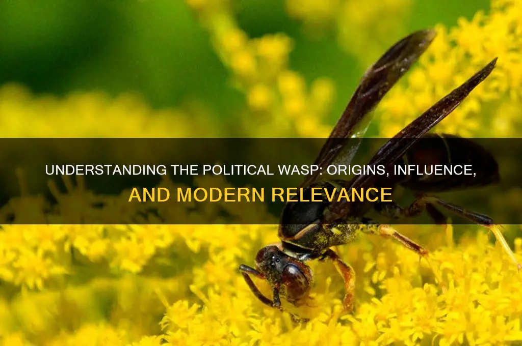 what is a political wasp