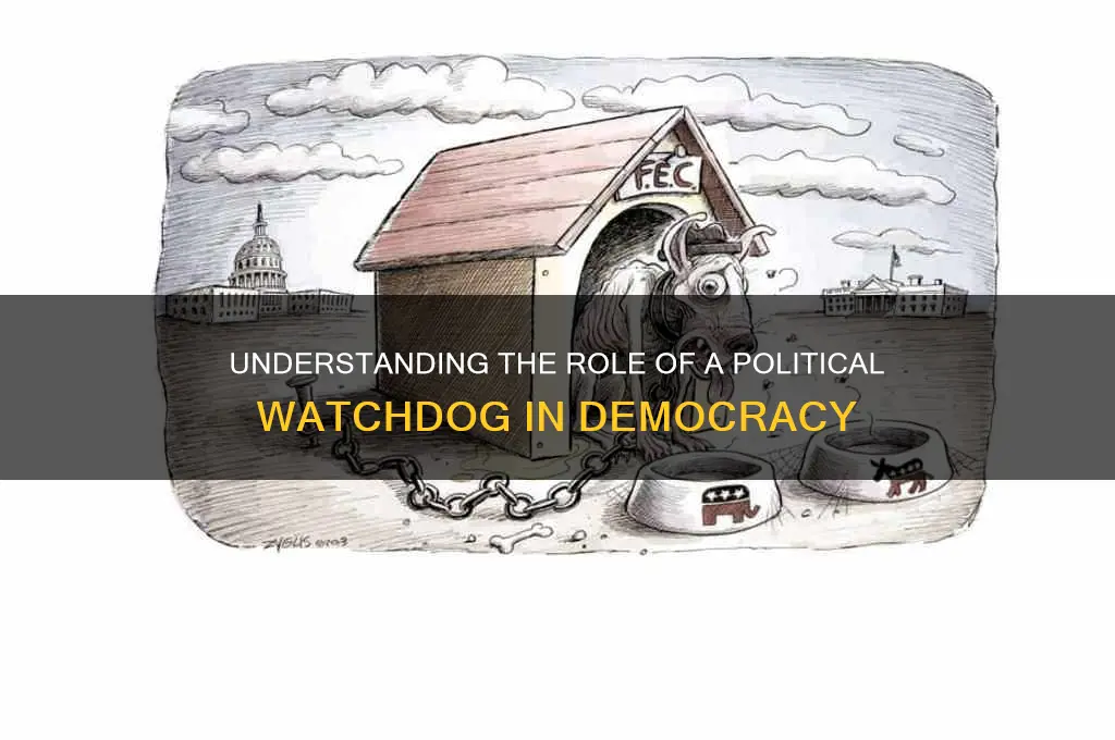 what is a political watchdog