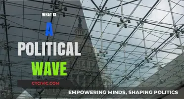 Understanding Political Waves: Causes, Impact, and Historical Examples