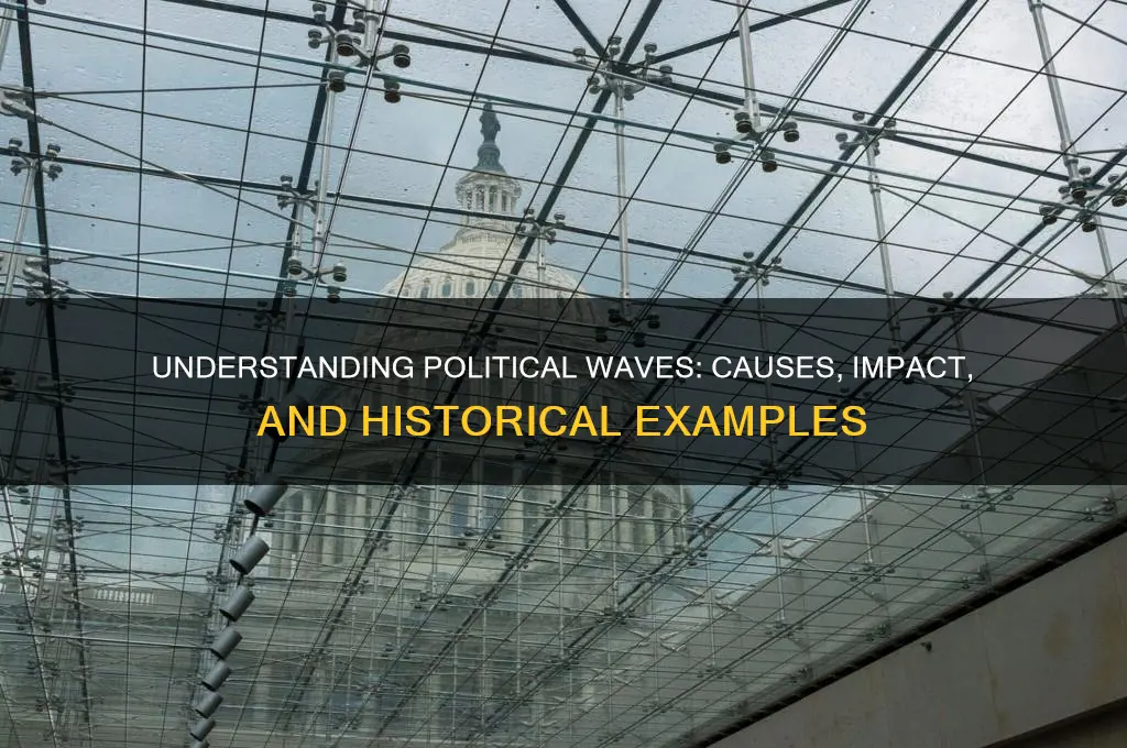 what is a political wave
