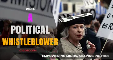 Unveiling Political Whistleblowers: Their Role, Risks, and Impact on Democracy