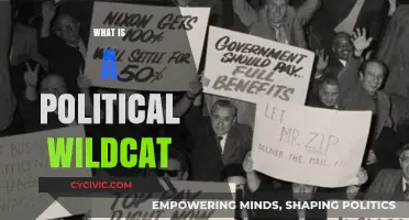 Understanding Political Wildcats: Unsanctioned Strikes and Their Impact on Policy