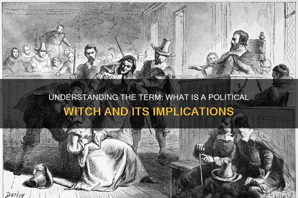 what is a political witch