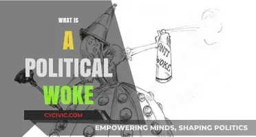 Understanding Political Wokeness: Origins, Impact, and Modern Debates