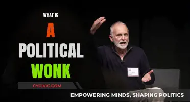 Understanding the Passionate World of a Political Wonk