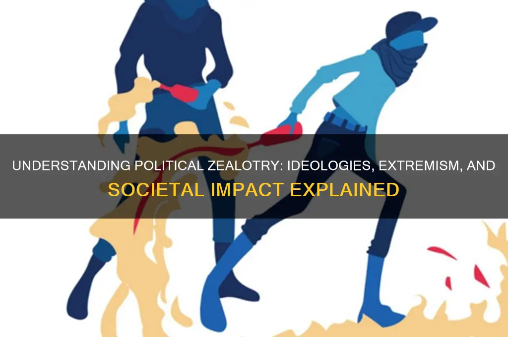 what is a political zealot