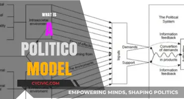 Understanding the Politico Model: A Comprehensive Guide to Political Analysis