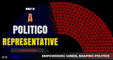 Understanding the Role and Responsibilities of a Politico Representative