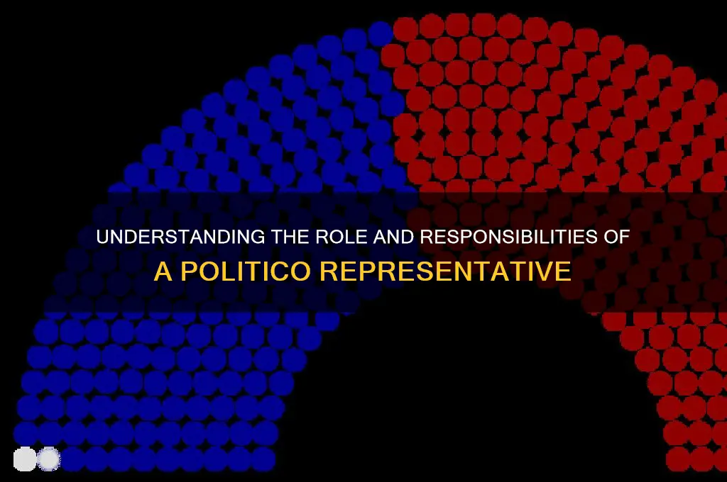 what is a politico representative