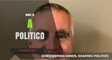 Understanding the Role and Influence of a Politico in Modern Politics