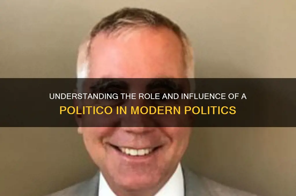 what is a politico