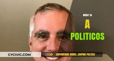 Understanding Politicos: Their Role, Influence, and Impact on Politics