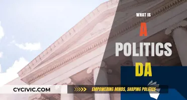 Understanding the Role and Impact of a Politics DA in Governance