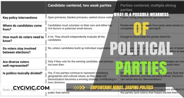Political Parties' Achilles' Heel: Exploring Potential Weaknesses and Vulnerabilities