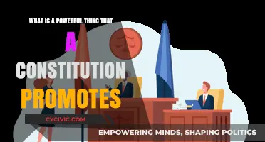Constitutions: The Ultimate Promoter of Unity and Stability
