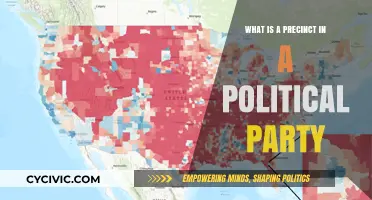 Understanding Precincts: The Local Backbone of Political Party Organization