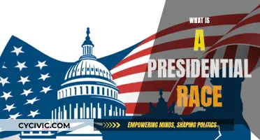 The Race to Presidency: Understanding the Presidential Election Process