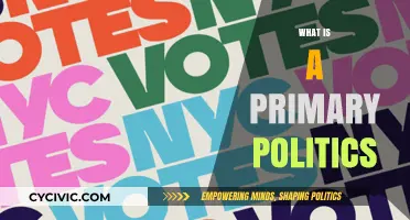 Understanding Primary Politics: A Beginner's Guide to Political Primaries