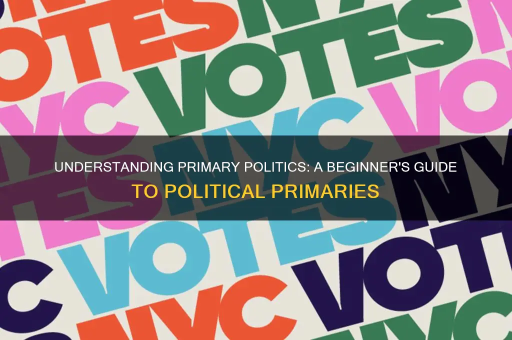 what is a primary politics