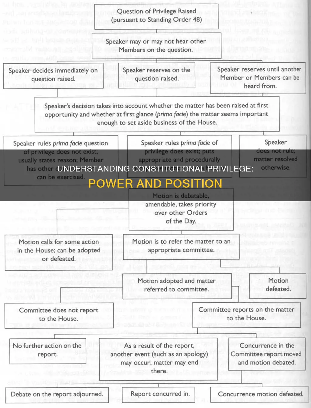 what is a privilege position in the constitution