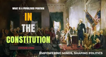 Understanding Privileged Positions in the Constitution