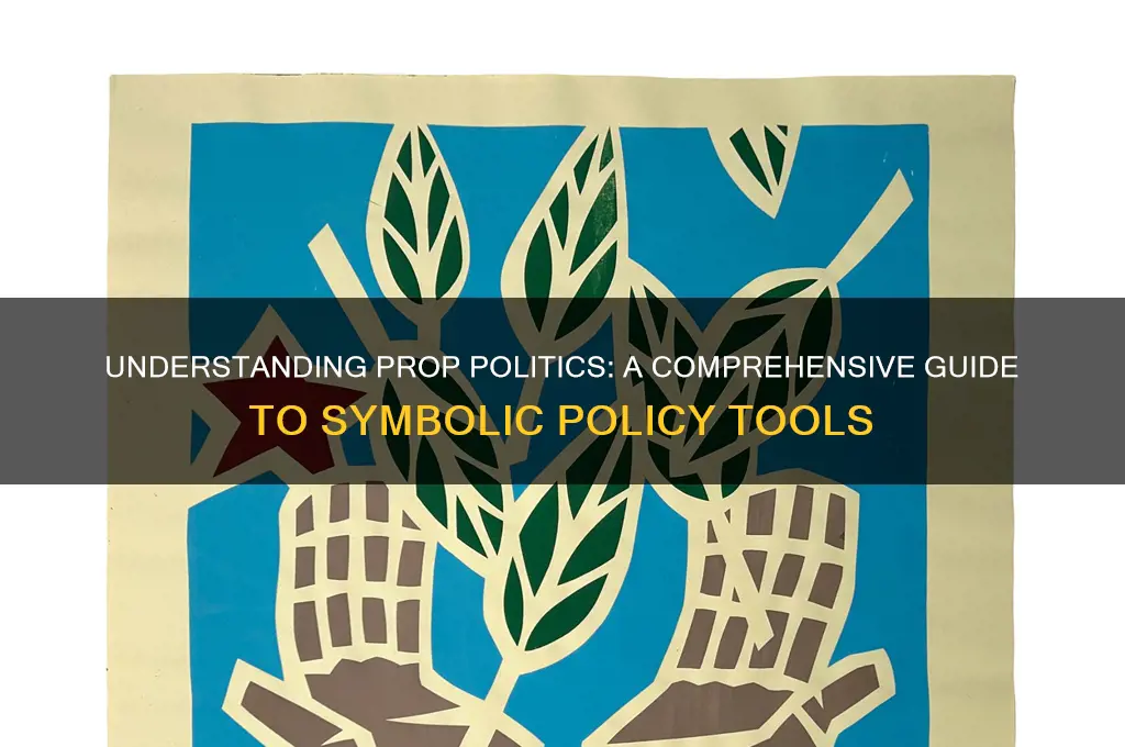what is a prop politics