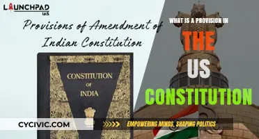 Understanding Constitutional Provisions: Their Role and Relevance