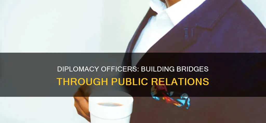 what is a public diplomacy officer