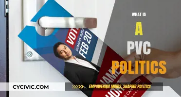 Understanding PVC Politics: Definition, Impact, and Role in Modern Campaigns