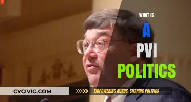 Understanding PVI Politics: Decoding Partisan Voter Index and Its Impact