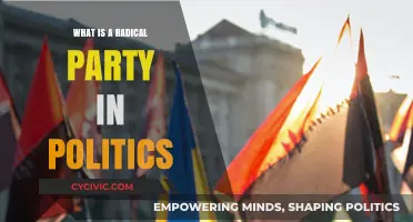 Understanding Radical Parties: Their Role, Impact, and Political Significance