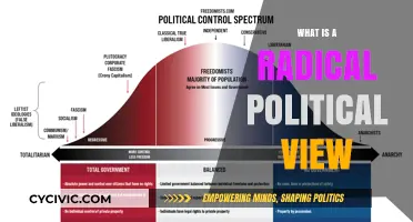 Exploring the Spectrum: What Constitutes a Radical Political View?