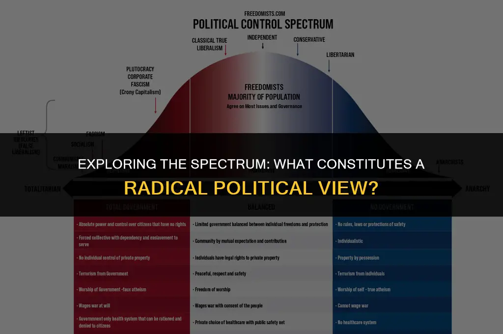 what is a radical political view