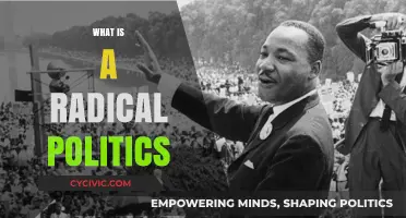 Understanding Radical Politics: Core Principles, History, and Modern Impact