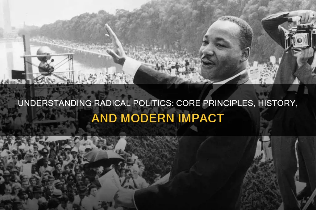 what is a radical politics