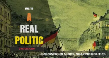 Understanding Realpolitik: Power, Pragmatism, and Political Realism Explained