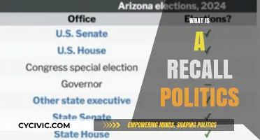 Understanding Recall Politics: How Voters Remove Elected Officials from Office
