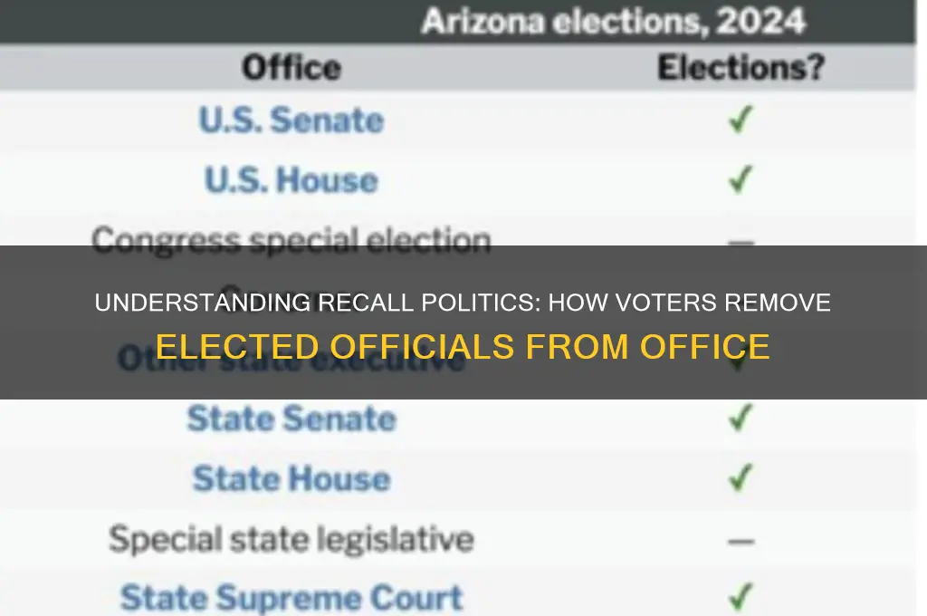 what is a recall politics