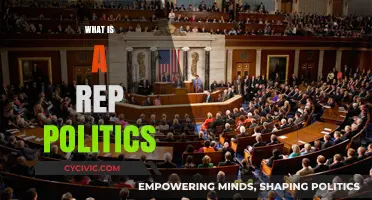 Understanding Rep Politics: Representation, Power, and Democracy Explained
