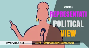 Exploring Representational Politics: A Comprehensive Guide to Political Viewpoints