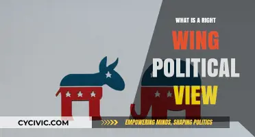 Exploring the Spectrum: Understanding Right-Wing Political Perspectives