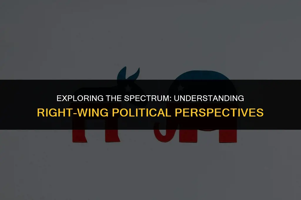 what is a right wing political view